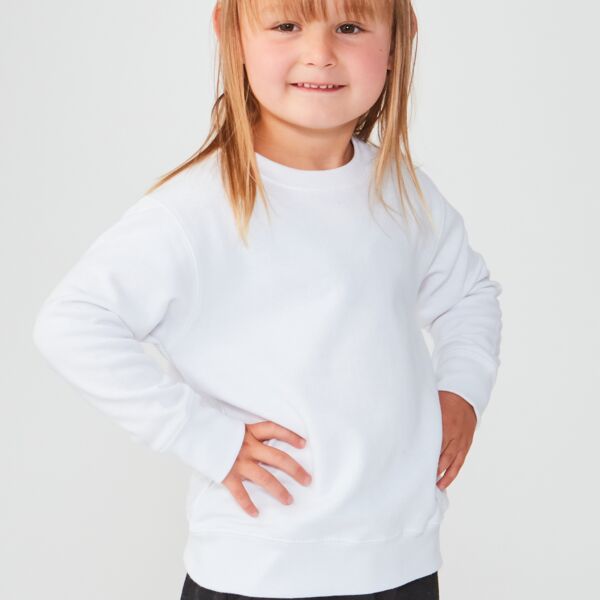 Toddler Unisex Crewneck Sweatshirt Thumbnail